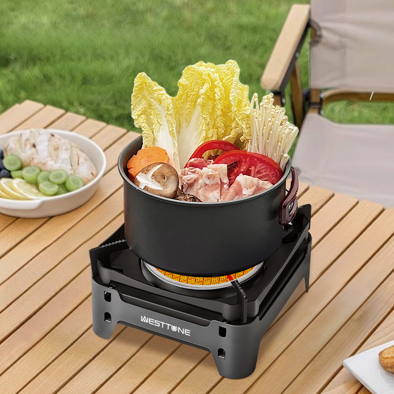 Westtrune acampamento cozinhar - Kitchen Appliances Gas Stove avaliação e preço